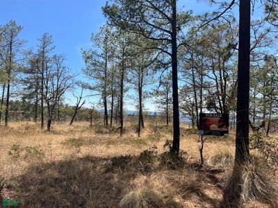 /international/mx/bosques-de-llano-grande-llano-grande-durango-durango-durango-guerrero-310065309294/