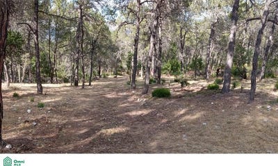 /international/mx/parcela-z3-p9-15-266-jame-arteaga-coahuila-de-zaragoza-arteaga-coahuila-310066480388/