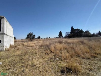 /international/mx/5-de-julio-sn-la-magdalena-la-magdalena-tlaltelulco-tlaxcala-90833-la-magdalena-tlaltelulco-tlaxcala-310066480339/