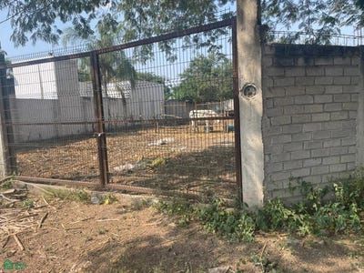 /international/mx/independencia-191-lo-de-villa-colima-colima-colima-colima-310065278530/