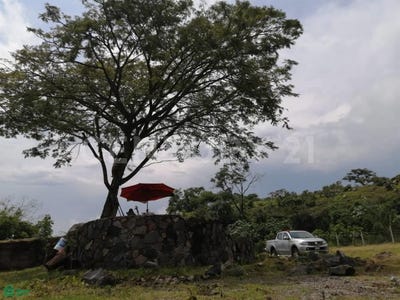 /international/mx/carretera-comala-queseria-s-n-cofradia-de-suchitlan-comala-colima-comala-colima-310065279325/