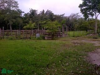 /international/mx/carr-federal-paraiso-entre-el-hotel-holiday-inn-y-el-hospital-de-pemex-s-n-paraiso-centro-paraiso-tabasco-paraiso-tabasco-310065430421/