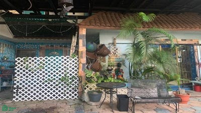 /international/mx/edificio-en-venta-en-sm-22-crisantemo-s-n-supermanzana-22-centro-benito-juarez-quintana-roo-cancun-quintana-roo-310066480479/