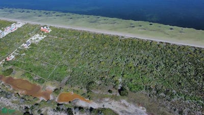 /international/mx/27-100-san-crisanto-sinanche-yucatan-sinanche-yucatan-310065287117/
