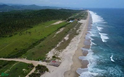 /international/mx/venado-sn-rio-grande-san-pedro-tututepec-oaxaca-71830-coahuila-310065312036/