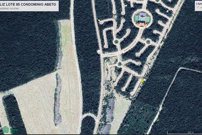 /international/mx/abeto-85-progreso-de-castro-merida-yucatan-merida-yucatan-310065494052/