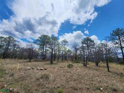 /international/mx/bosques-de-llano-grande-zona-e-lote-14-llano-grande-durango-14-llano-grande-durango-durango-durango-guerrero-310065290009/