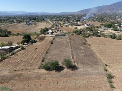 /international/mx/barrio-la-trinidad-s-n-tlalixtac-de-cabrera-tlalixtac-de-cabrera-oaxaca-tlalixtac-de-cabrera-oaxaca-310065307942/