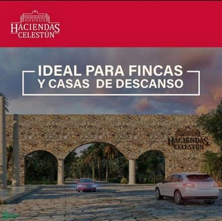 /international/mx/mexico-281-celestun-celestun-yucatan-celestun-yucatan-310065301199/