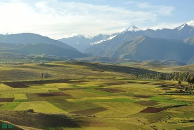 /international/pe/huaypo-grande-parcela-87-chinchero-urubamba-cusco-urubamba-cusco-310065306569/