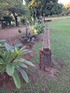 /international/py/ruta-departamental-nro-9-9-arroyos-y-esteros-cordillera-arroyos-y-esteros-cordillera-department-310066471668/