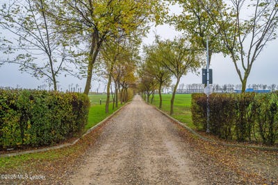 /international/ro/strada-padurii-afumati-ilfov-county-310000014225/