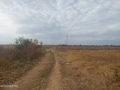 /international/ro/drumul-de-77-ulmi-dambovita-county-310000015195/