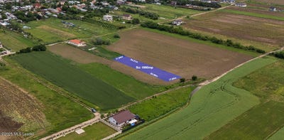 /international/ro/t-4-p-23-strada-vlad-ion-buftea-ilfov-county-310000015013/