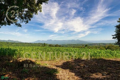 /international/sv/canton-san-rafael-y-la-gloria-el-trapiche-tacuba-tacubita-ahuachapan-ahuachapan-ahuachapan-310066480656/