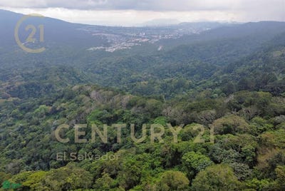 /international/sv/canton-los-amates-carretera-a-comasagua-kilometro-6-5-santa-tecla-la-libertad-comasagua-comasagua-la-libertad-la-libertad-department-310066471469/