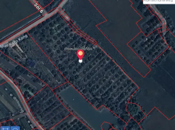 สะพาน, ศรีบังวัน ซอย 6, ประตูป่า, ลำพูน, 51000 ประเทศไทย, ลำพูน, 