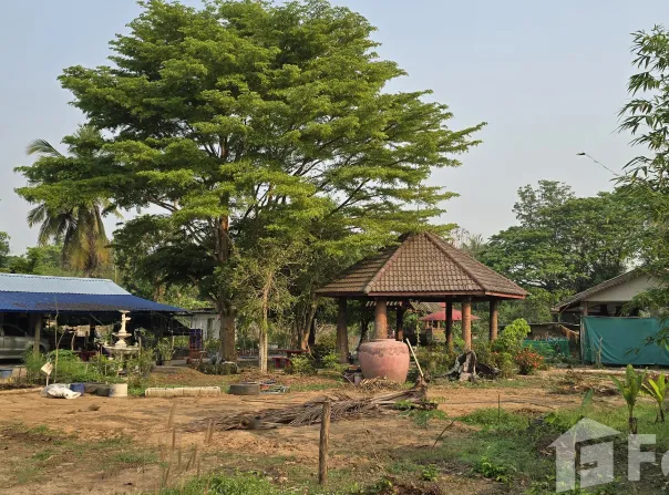 ไร่ พ่ายดาว, ทุ่งเสลี่ยม, สุโขทัย, 64150 ประเทศไทย, ทุ่งเสลี่ยม, 