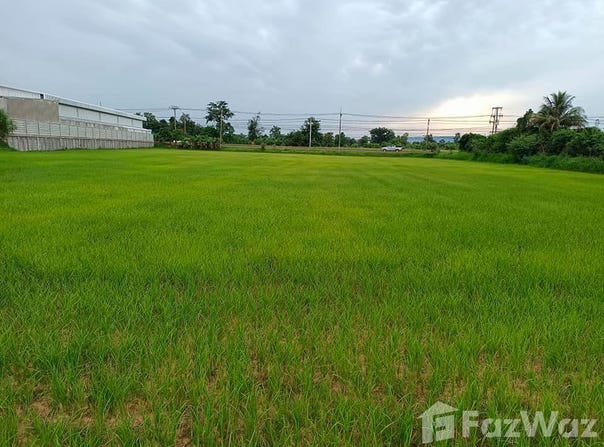 ถนน ชยางกูร, สามแยก, เลิงนกทา, ยโสธร, 35120 ประเทศไทย, เลิงนกทา, 