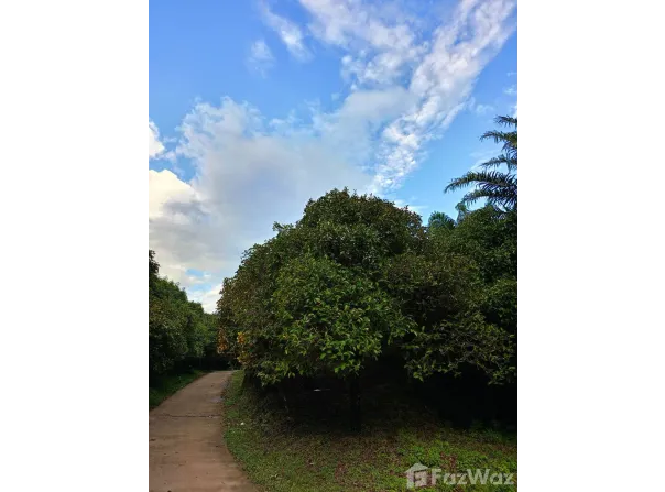 วัดช่องลม, บางแก้ว, ละอุ่น, ระนอง, 85130 ประเทศไทย, ละอุ่น, 