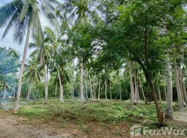 บ้านแสนอารีนา รีสอร์ท, บางขันแตก, สมุทรสงคราม, 75000 ประเทศไทย, สมุทรสงคราม, 