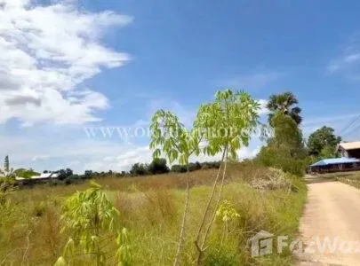 11, วังทอง, พิษณุโลก, 65130 ประเทศไทย, วังทอง, 