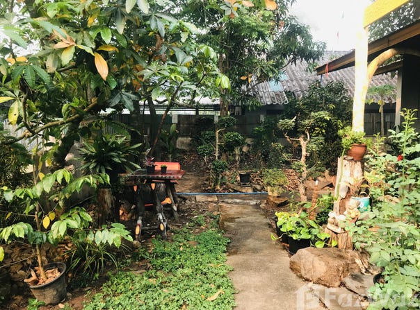 แม่ฮ่องสอน, 58000 ประเทศไทย, แม่ฮ่องสอน, 