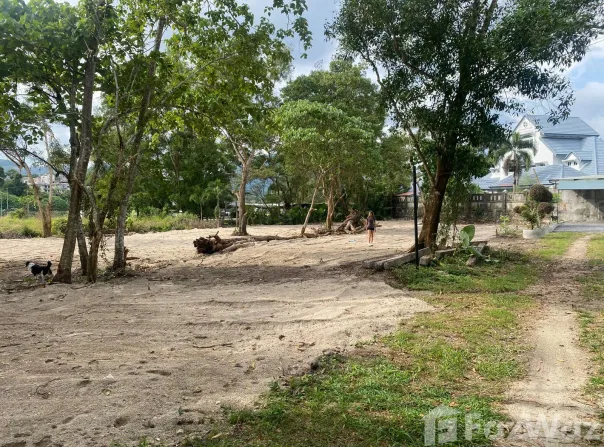 91/154, Kathu, Phuket 83120, THA, Kathu, Phuket