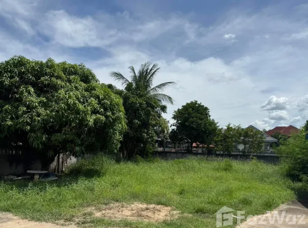 288, ชุมเห็ด, บุรีรัมย์, 31000 ประเทศไทย, บุรีรัมย์, 