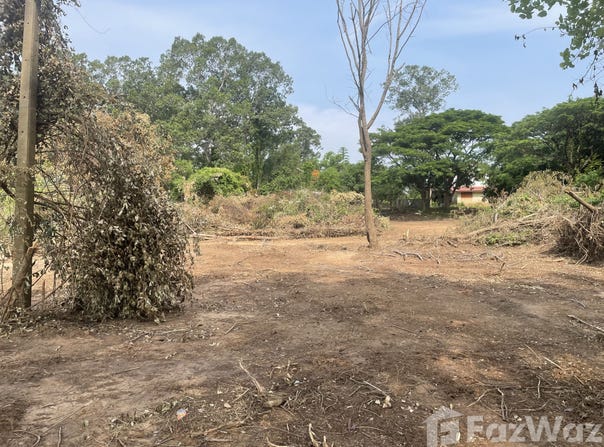 369 ถนน สรรพสิทธิ์, ในเมือง, อุบลราชธานี, 34000 ประเทศไทย, อุบลราชธานี, 