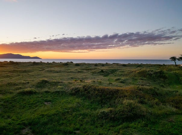 115 Puruaha Road, Te Horo, Kapiti Coast