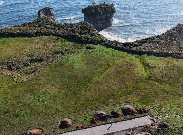 Cape Foulwind, Buller