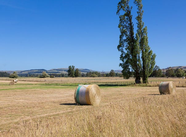 Carterton, Carterton