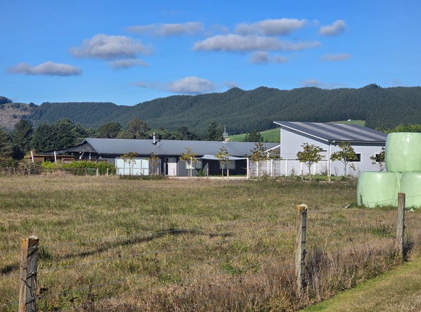 Riverlea Downs, Broadlands Forest, Taupo