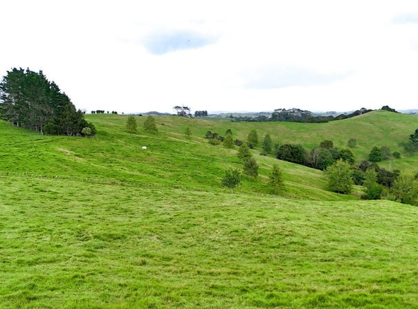 Wellsford, Rodney