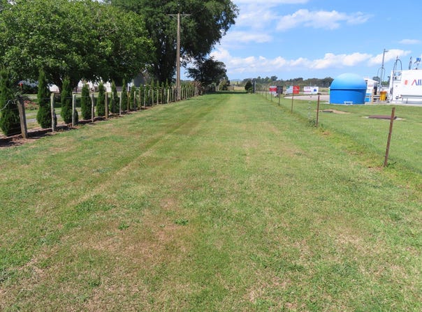 Dannevirke, Tararua