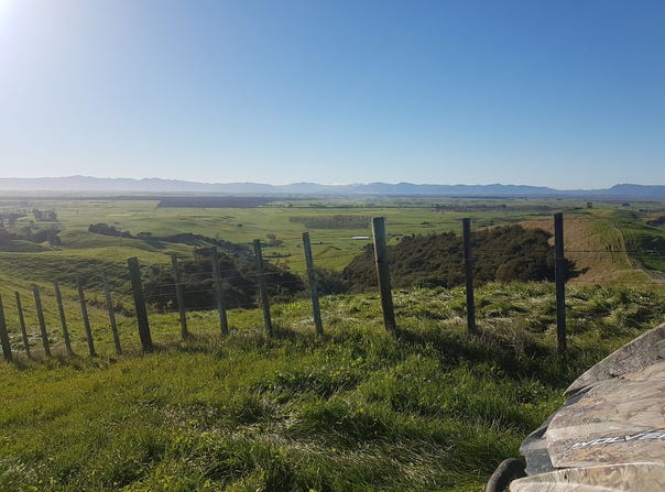 Kaihere, Hauraki