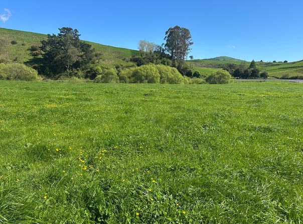 Pirongia, Waipa
