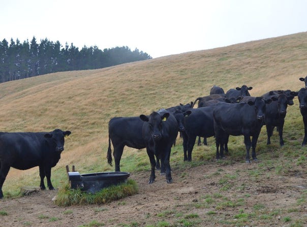 492 Moonshine Hill Road, Moonshine Valley, Upper Hutt City