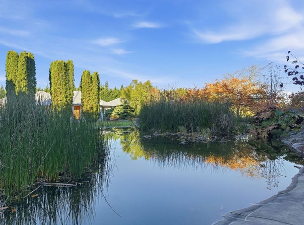 886 Two Chain Road, Swannanoa, Waimakariri