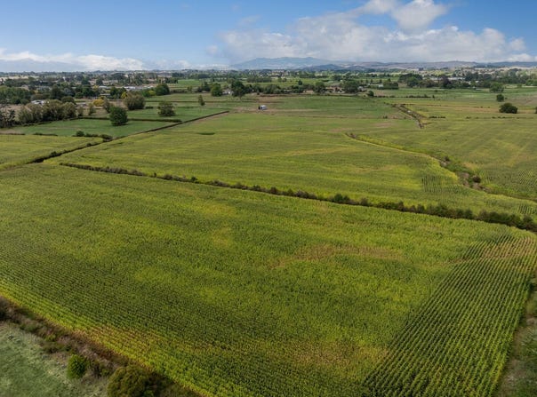 Te Kowhai, Waikato