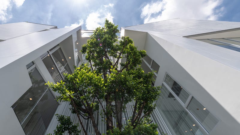 /international/th/flying-cat-co-ltd-29-soi-lat-phrao-88-phlapphla-wang-thonglang-bangkok-10310-tha-phlapphla-bangkok-340065938930/
