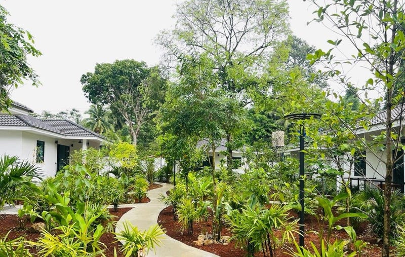 /international/th/vanamee-camping-resort-ko-pha-ngan-surat-thani-84280-thailand-ko-pha-ngan-changwat-surat-thani-340000055051/