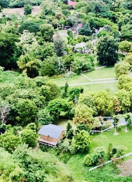 /international/th/23-80-nma-3118-khanong-phra-pak-chong-nakhon-ratchasima-30130-thailand-pak-chong-phetchabun-340000137895/