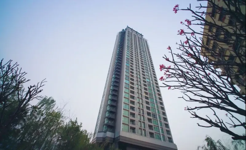 /international/th/141-sathon-21-alley-yan-nawa-sathon-bangkok-10120-thailand-yannawa-bangkok-340000018865/