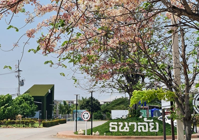 /international/th/om-costume-map-phai-ban-bueng-chon-buri-20170-thailand-ban-bueng-phichit-340000116037/