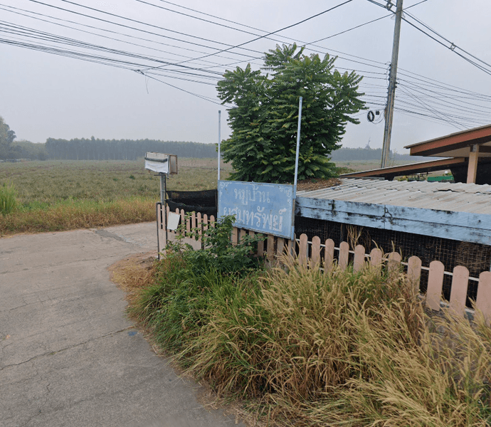 /international/th/richly-farm-that-thong-bo-thong-chon-buri-20270-thailand-bo-thong-lopburi-340000156156/