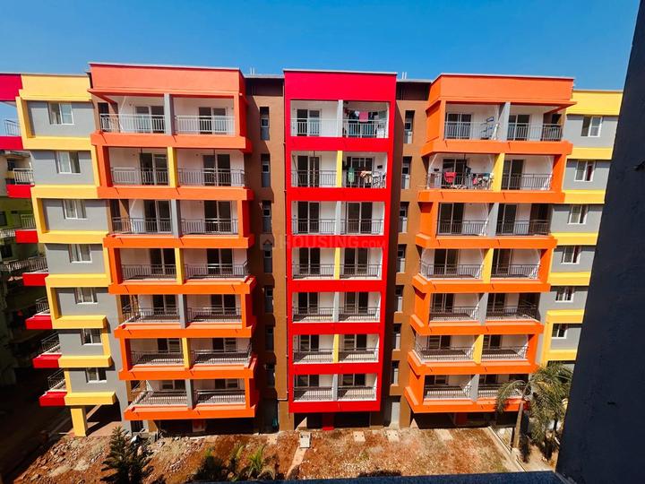 /international/in/sancoale-goa-goa-250000163623/