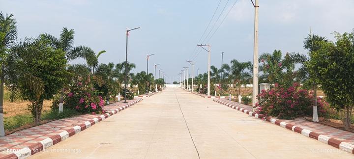 /international/in/subhanpur-hyderabad-bihar-250066012967/