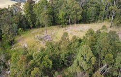 1029 Pappinbarra Road, Lower Pappinbarra, NSW 2446